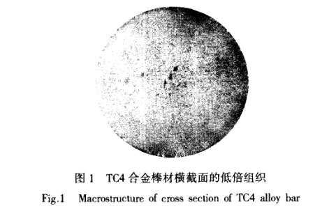 1636728236189484.jpg t1.jpg