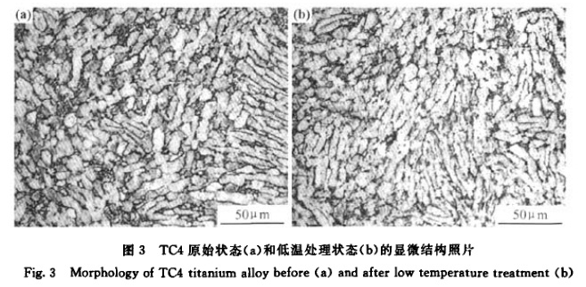 1647072528965203.jpg 3.jpg