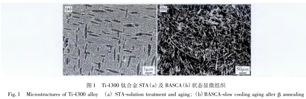 1686486176970065.jpg t1.jpg