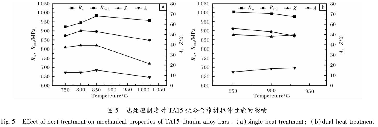 1694558300629410.jpg t5.jpg