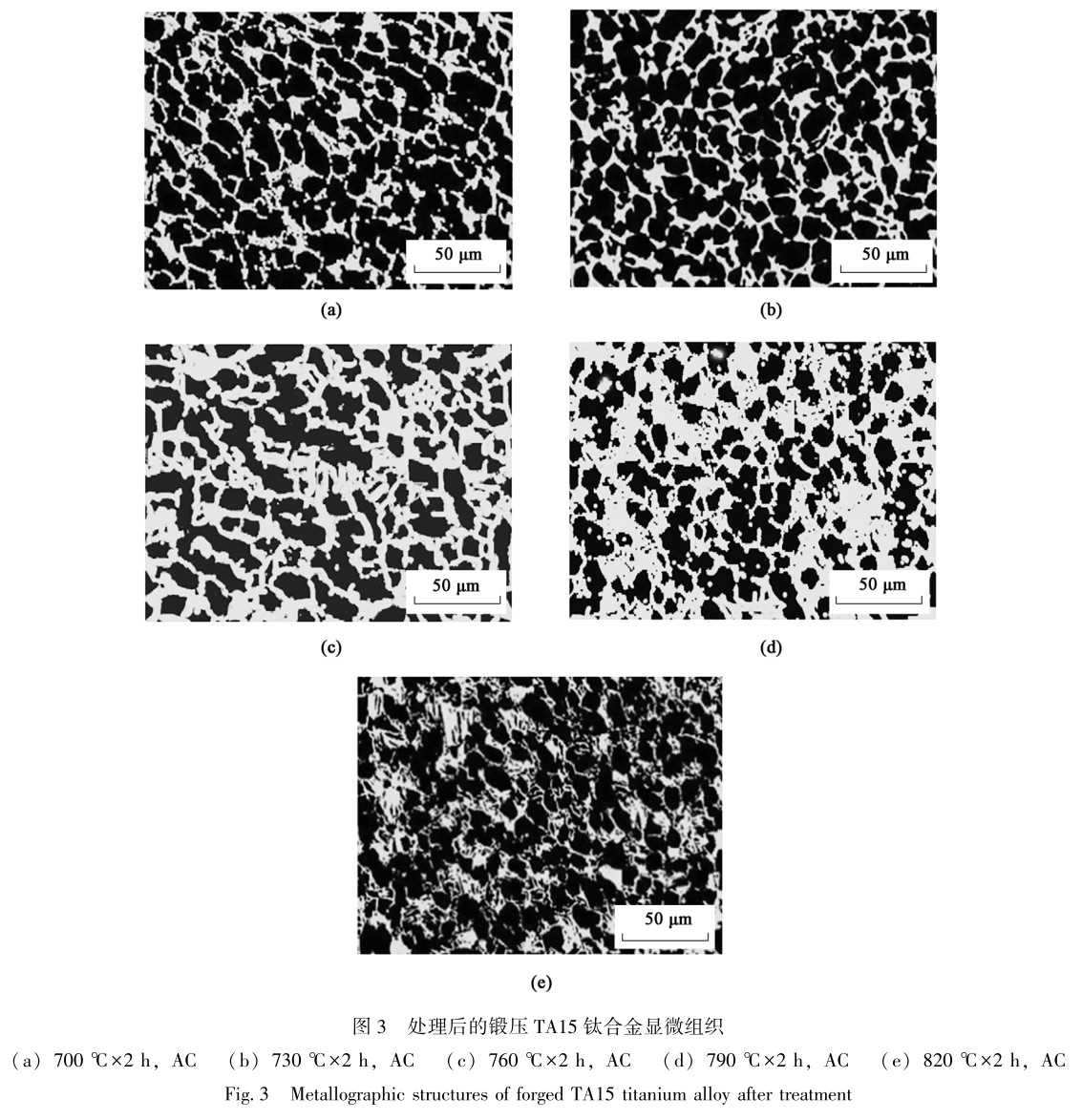 1700640742687379.jpg t3.jpg