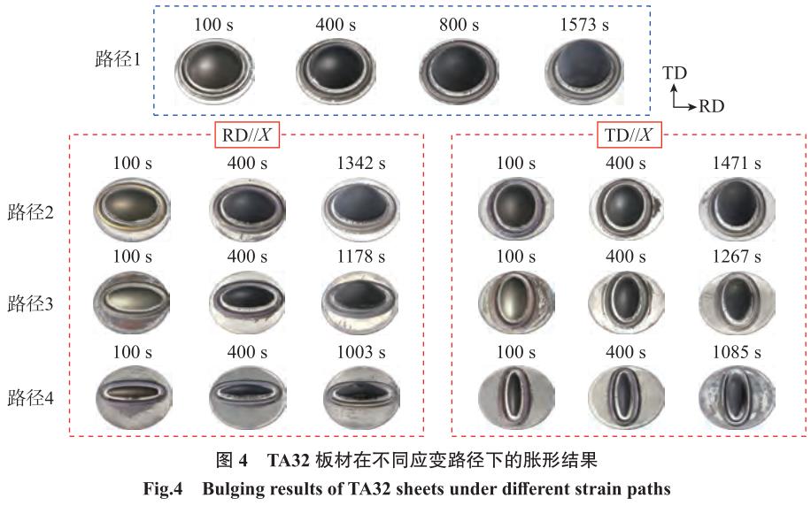 1700707140975776.jpg t4.jpg