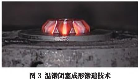 1704770725706529.jpg t3.jpg