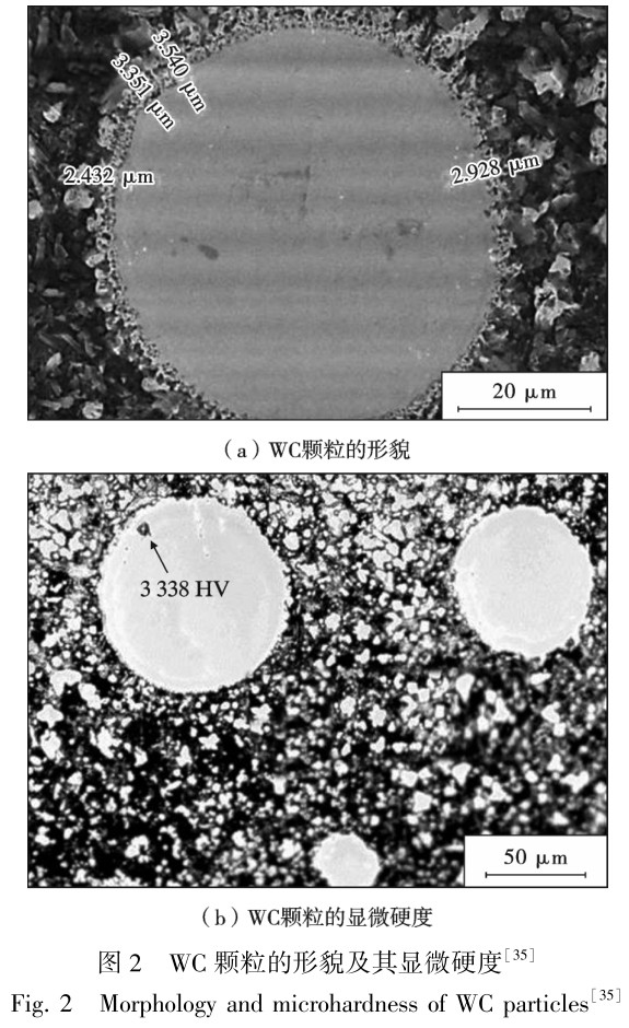 1704812697340479.jpg t2.jpg