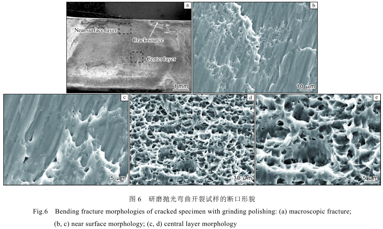 1706255470943543.jpg t6.jpg