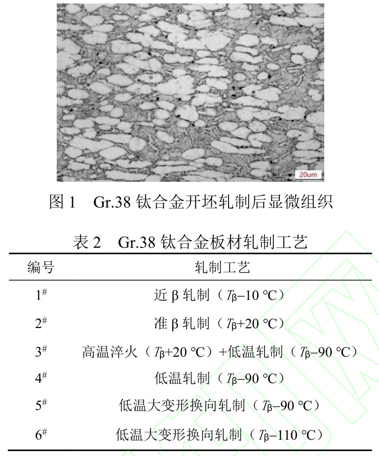 1719804162798460.jpg t1-b2.jpg