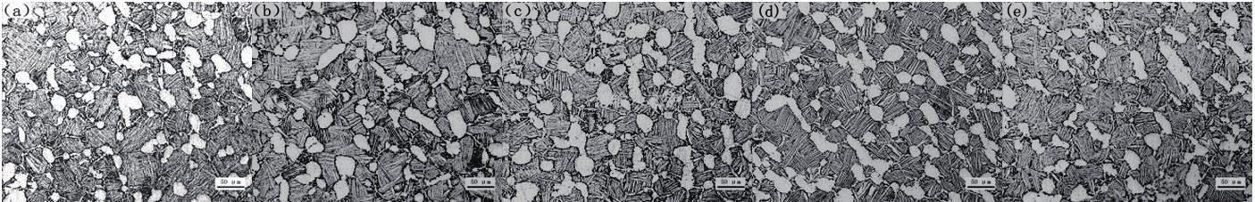 1720150605139364.jpg 1.jpg