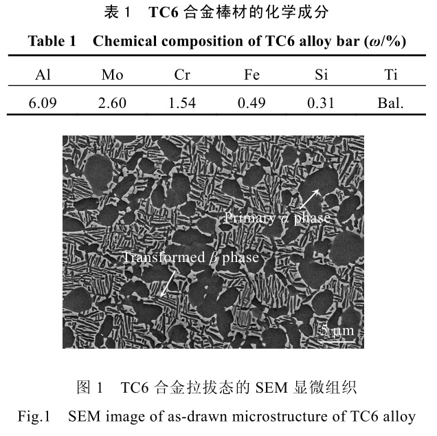 1726732801184763.jpg b1-t1.jpg