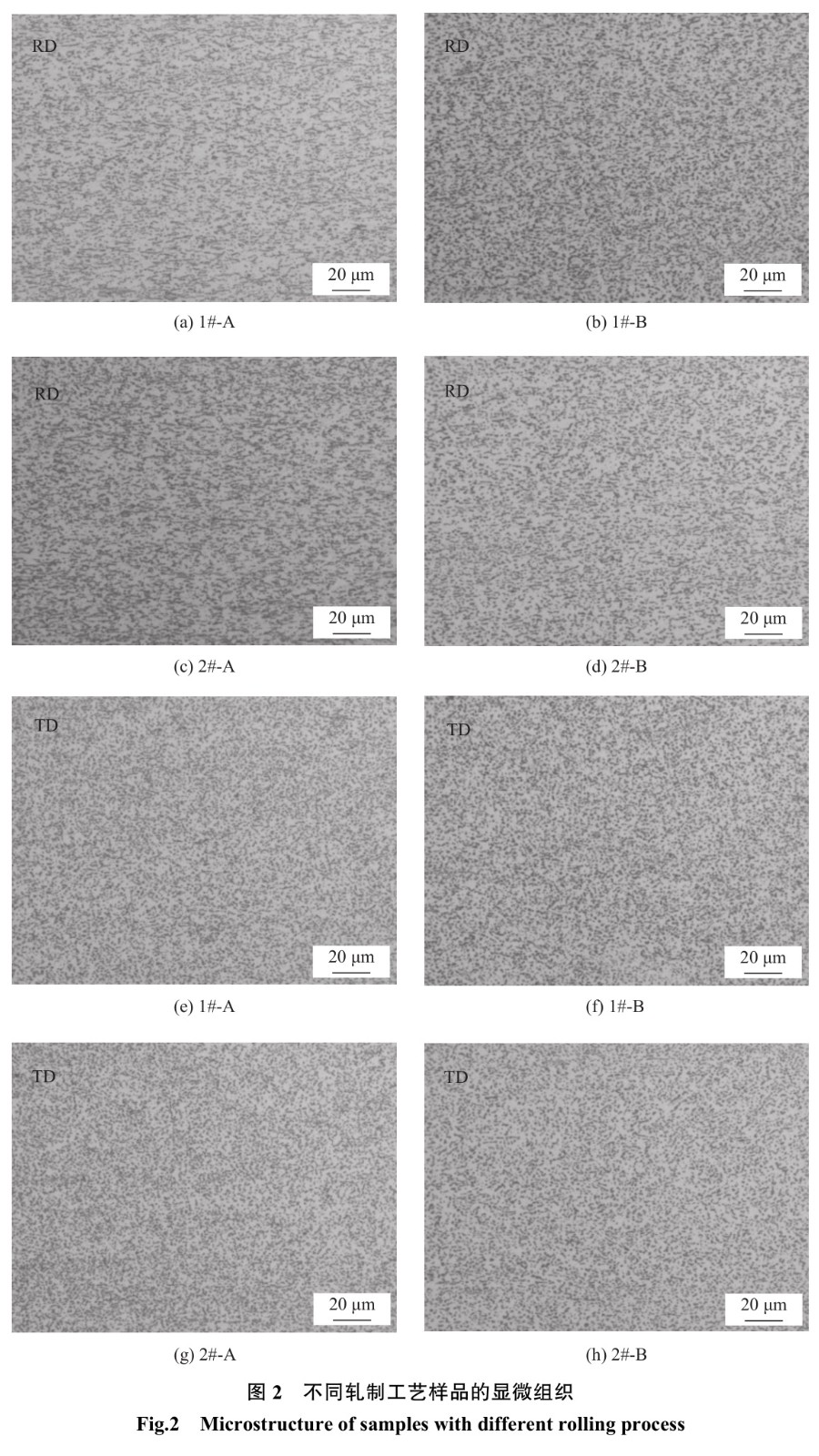 1728638441847474.jpg t2.jpg