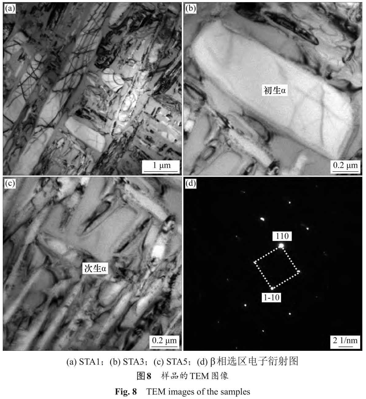 1733109383272174.jpg 8.jpg