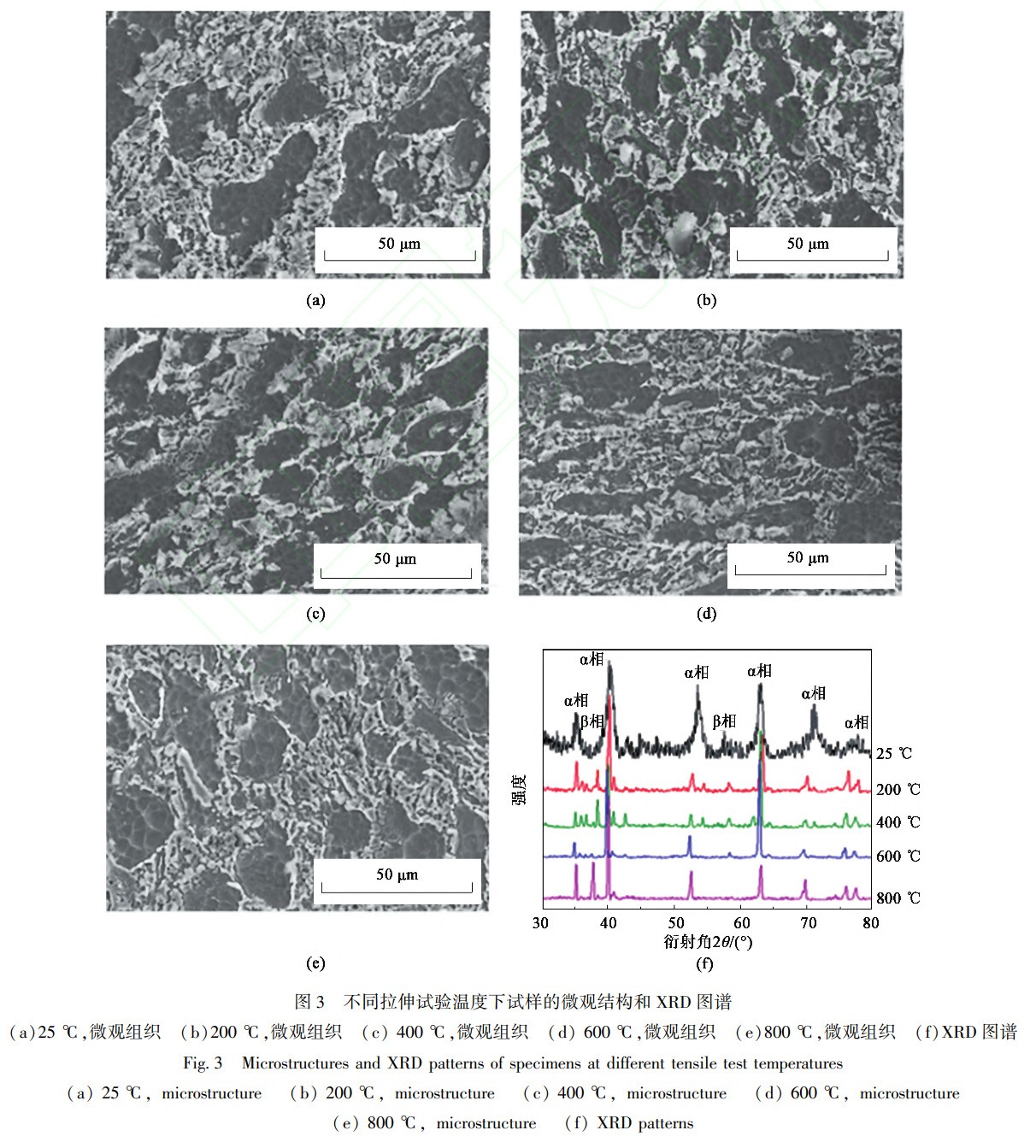 1739626435962238.jpg 3.jpg