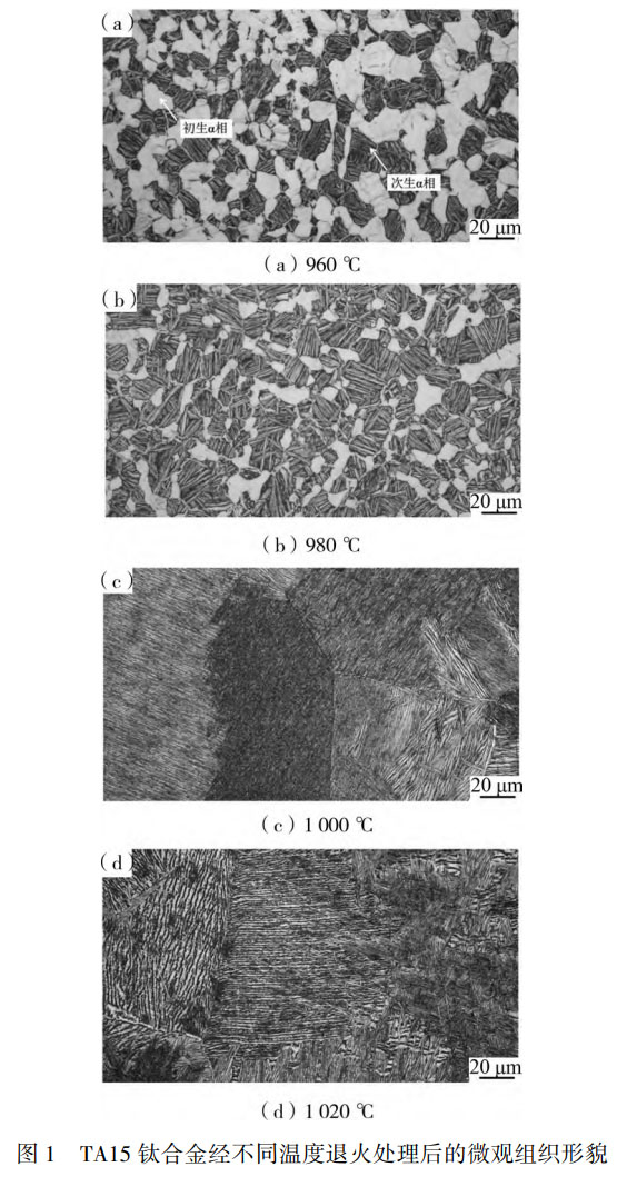 1757905939425787.jpg 未標(biāo)題-1.jpg